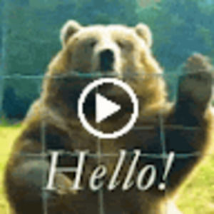 Meet your Posher, Terri